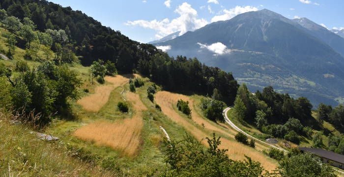 Zälg, Erschmatt